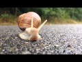チャンネル登録の重要性