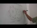 Understanding Gear Mechanics and Ratios