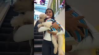 SLINK ANDOU DE ESCADA ESCADA ROLANTE