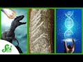 Science News and Discoveries of 2021