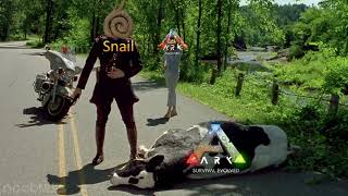 How Snail REALLY Feels about Ark Survival Evolved! (SKIP ANY ADS!)