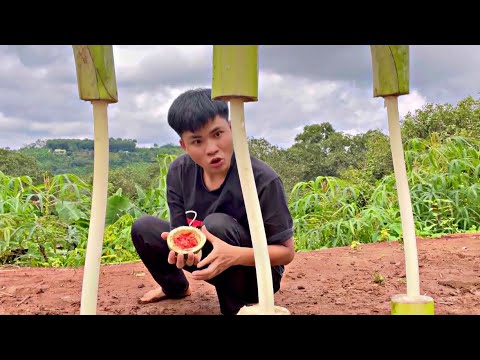 Tổng hợp những video ăn cả vũ trụ của LC Nhất