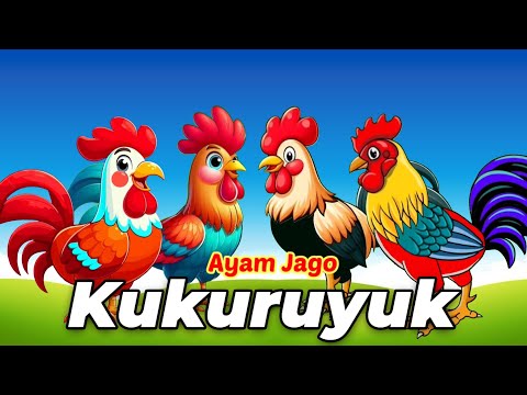 Kompilasi Lagu Anak - Kukuruyuk Ayam Berkokok, Ayamku Kok Kok Kok Dan Lainnya - Lagu Anak Lucu