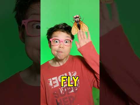 Animal Food Time! ๐ชฐ #learn #shorts #kids