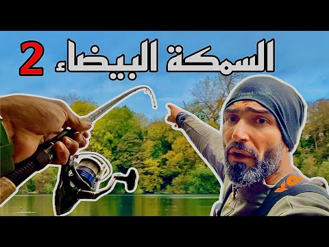 السمكة البيضاء 2