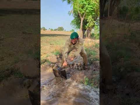 The Water Men 😆😂 #trending #shorts #viralshort #youtubeshorts #foryou