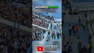 Динамо🤝Карпати
