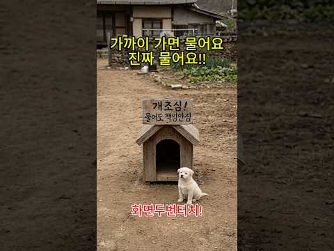 분명히 경고 했습니다!!