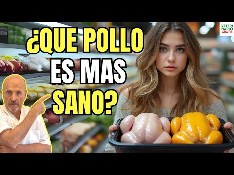 😱 POLLO AMARILLO O BLANCO ¿CUAL ES MEJOR? 😱