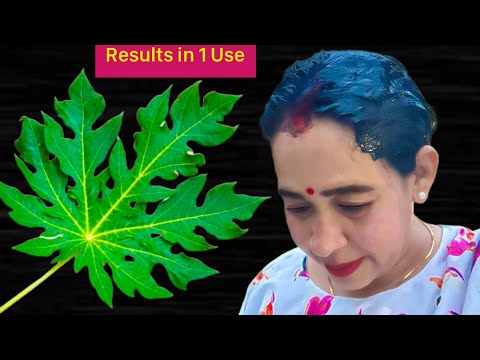 सफ़ेद बालों को आधे घंटे में हमेशा के लिए जड़ से काला कर देगा ये करोड़ों में एक नुस्ख़ा White Hair