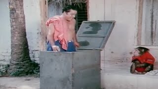 Monkey Intelligently Traps Man And Sell Him to Zoo - Bhairavi Back to Back Comedy Scenes