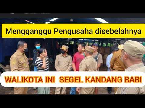 Walikota segel kandang babi