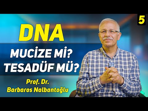 DNA Mucize mi? Tesadüf mü? Prof. Dr. Barbaros Nalbantoğlu - My Rahle