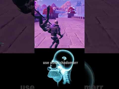 My DUOS -6900 IQ vs 6969 IQ in Fortnite World's Smallest Violin