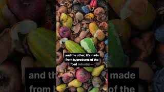 How Dispersa zeroed in on a winning formula