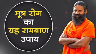 मूत्र रोग (Urinary Disease) का यह रामबाण उपाय || Swami Ramdev