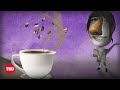 Understanding Smell and Taste