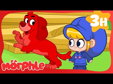 Morphle's Barking Mad! 🐶 | Morphle's Family | My Magic Pet Morphle | Kids Cartoons