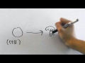 Biological Themes and Concepts