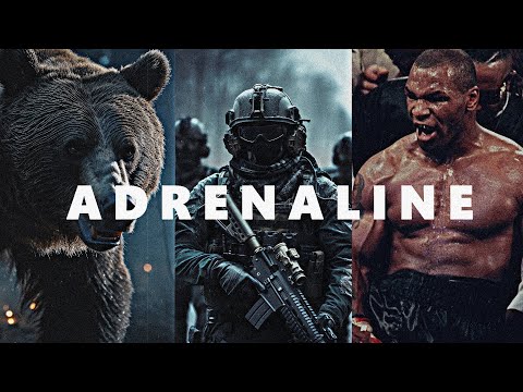 ADRENALINE - Powerful Motivational Speech Compilation