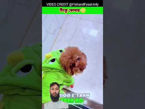 #funny #pets #cute #facts #indinbikedrive #funnypets #funnyanimals #odvutfacts #petvideos