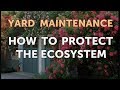 Environmental Awareness and Sustainability