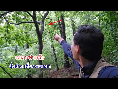 นั่งห้างดินโป่ง.??.เจอดีทุกราย.!!.กลางวันแสกๆเล่นเราซะแล้ว.ยามบ่วงดักหมูป่า