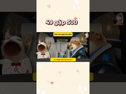 49 gặp 500 | Cheems Nhân Văn