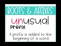 Exploring Affixes and Roots in Language