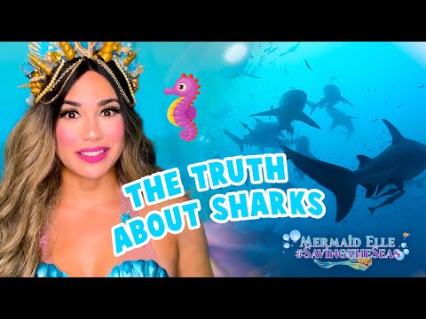 Ep 14: The Truth About Sharks x NATGEO Unboxing | Mermaid Elle - Saving the Seas