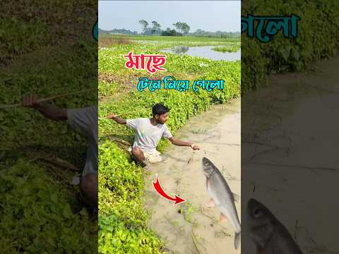 মাছে আমাকে টেনে নিয়ে গেলো 😢 #minivlog #trending #shorts