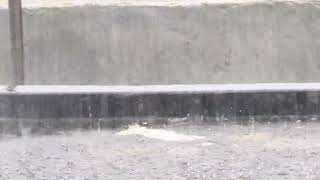 বৃষ্টি নেমেছে রিমঝিমরিম সুরের লহরী....Raining o Rain