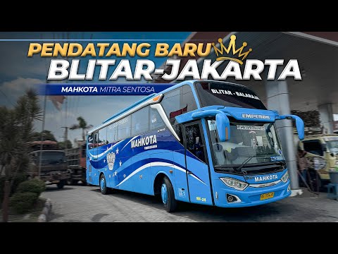 EKSEKUTIF PALING MURAH BLITAR JAKARTA ‼️ Trip By PO Mahkota