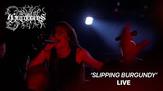 DAWN OF OUROBOROS - SLIPPING BURGUNDY - LIVE AT BRICK BY BRICK SAN DIEGO, CA