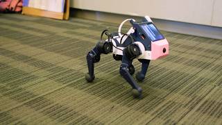 AI-powered dog robots, built by students