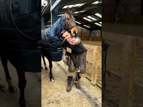 Satisfying hoof trim #satisfying #oddlysatisfying #asmr #farrier #horse