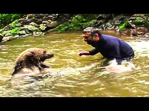 Une Maman Ourse Supplie Un Chasseur Maléfique De Sauver Ses Oursons, La Suite Vous Choquera !