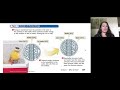 Exploring Heat and Temperature Concepts