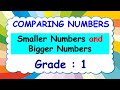 Identifying Largest and Smallest Numbers