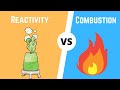Understanding Chemical Reactions: Reactivity and Combustion