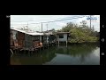 Understanding Slum Settlements and Urbanization