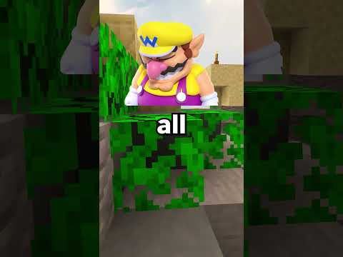 Shocking fact about Wario...