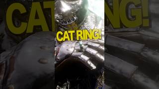 Cat Ring #blender #animation