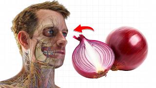 What Happens to Your Body When You Eat Raw Onions Every Day?