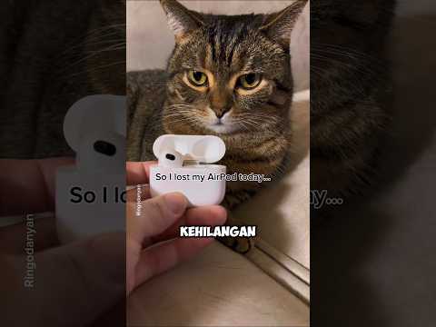 KUCING MAKAN AIRPOD PEMILIKNYA