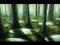 Exploring Narnia's Mysteries and Characters