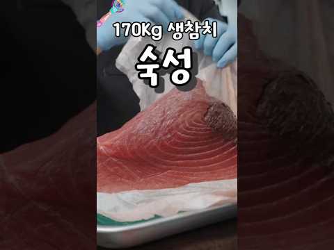 참치회를 오마카세급으로 숙성하는 방법 @수저