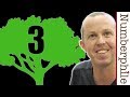 Understanding TREE(3) and Its Implications