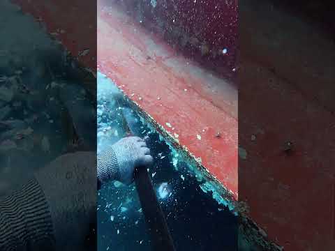 Scraping HARD Barnacles. #dive #workhard #mergulho #ship #satisfyingvideo #satisfying #asmr #buceo
