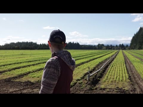 YouTube video thumbnail: Tree Nursery Promotes Growth Amid Trump Order Targeting Forests 
